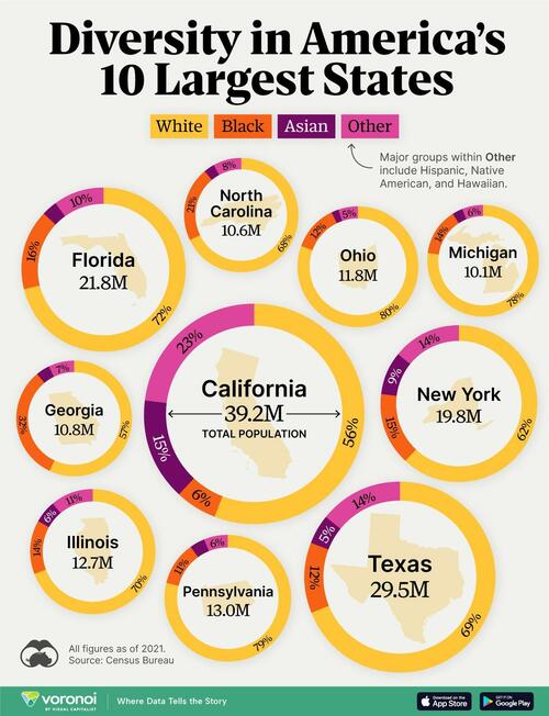 ThePatriotLight Visualizing Racial Diversity In America's 10 Largest